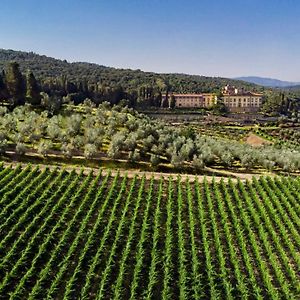 Torre A Cona Wine Estate